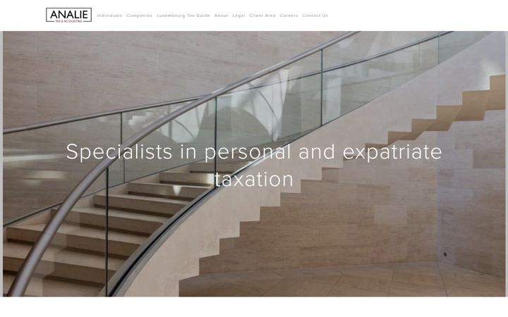 Screenshot of analietax.com