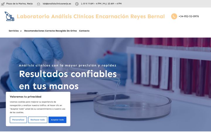 Screenshot of analisisclinicosnerja.es
