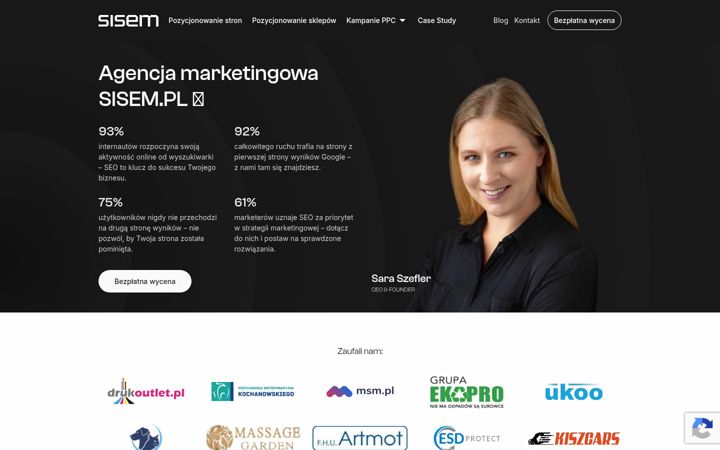 Screenshot of analityka-internetowa.pl