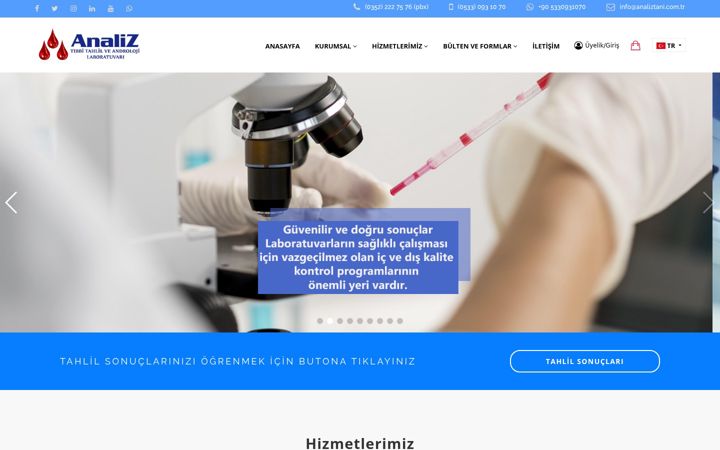 Screenshot of analiztani.com.tr