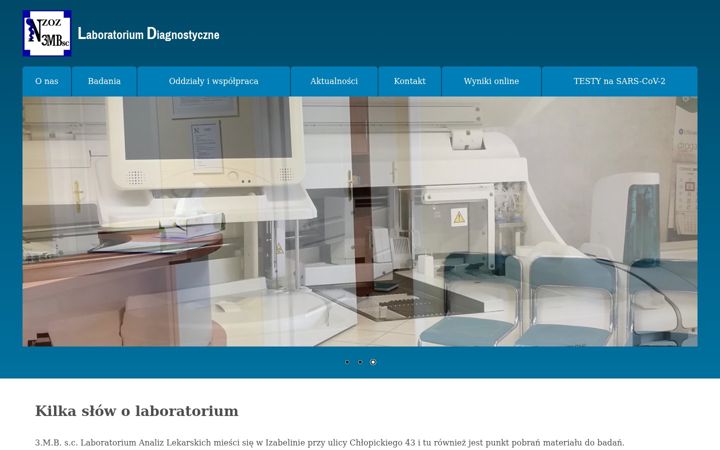 Screenshot of analizy-lekarskie.eu