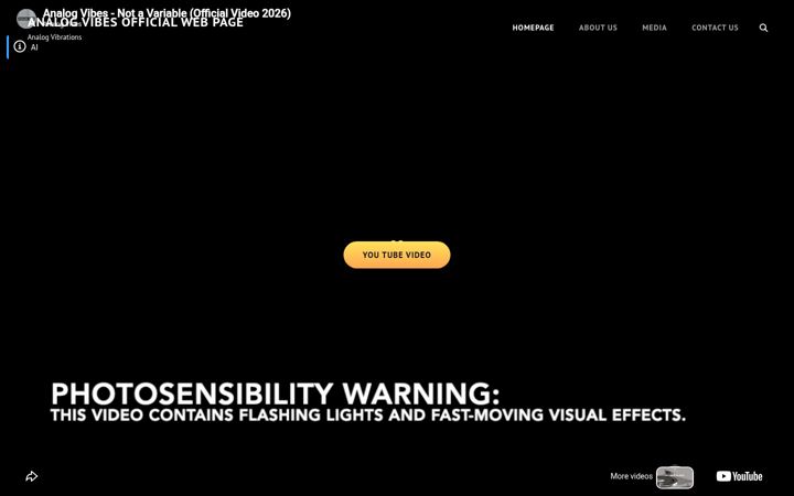 Screenshot of analogvibes.it