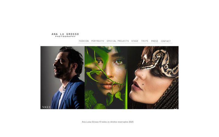 Screenshot of analugrosso.com.br