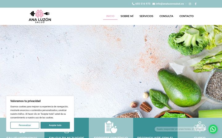 Screenshot of analuzonsalud.es