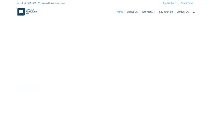 Screenshot of analyzehealthcare.com