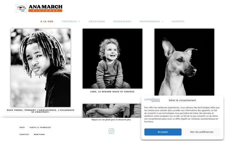 Screenshot of anamarchpictures.com