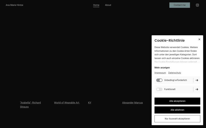 Screenshot of anamariehintze.com