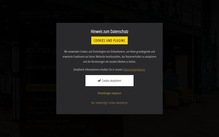 Screenshot of ananas-gym.de