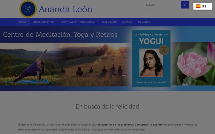 Captură de ecran a anandaleon.org