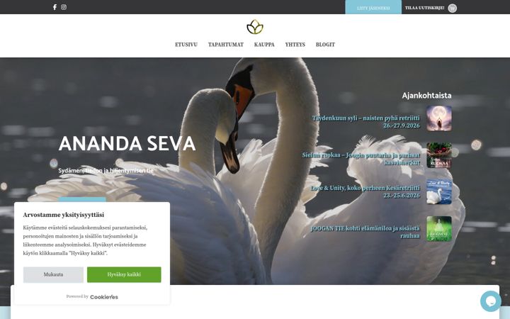Screenshot di anandaseva.fi