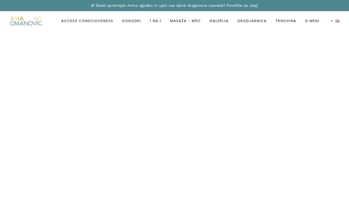 Screenshot of anaomanovic.com