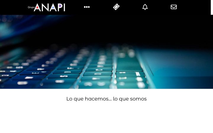 Screenshot of anapi.com