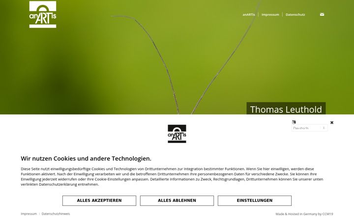 Screenshot of anartis.de