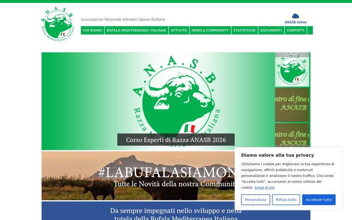 Screenshot stránky anasb.it