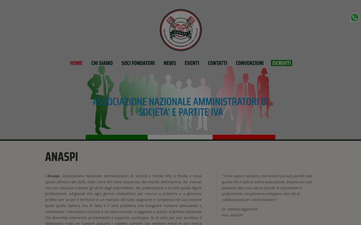 Screenshot of anaspi.com