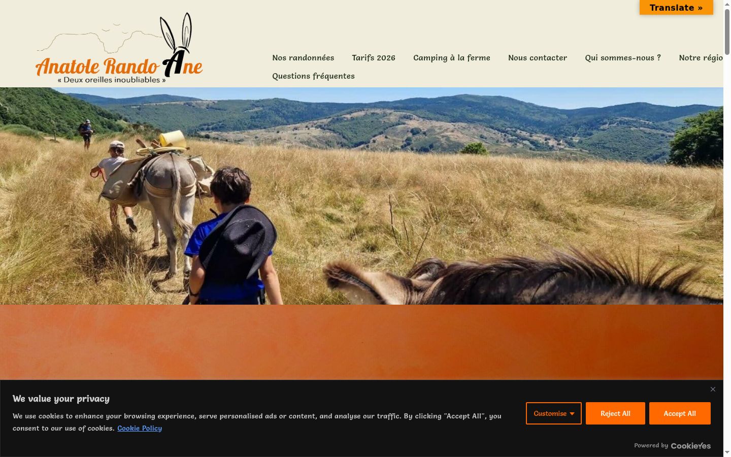 Screenshot of the consent banner shown before any interaction
