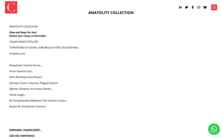 Screenshot of anatolity.com