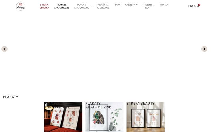 Posnetek zaslona anatomydecor.pl