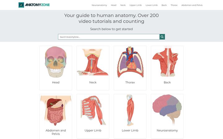 Screenshot of anatomyzone.com