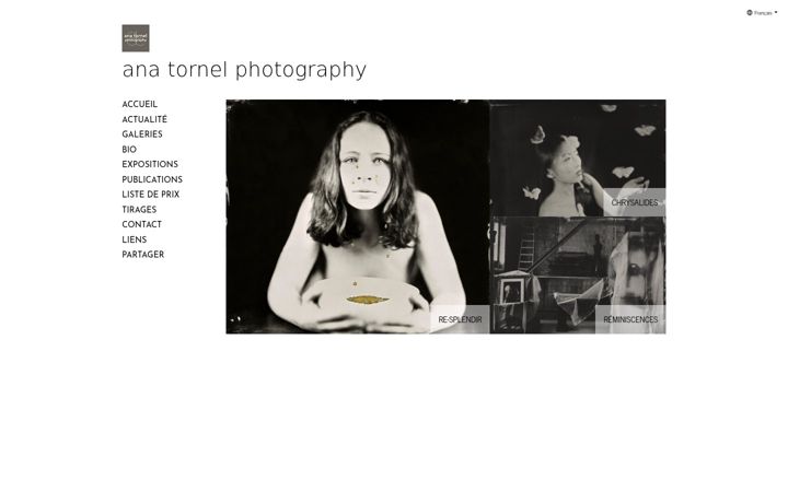 Screenshot of anatornel.com