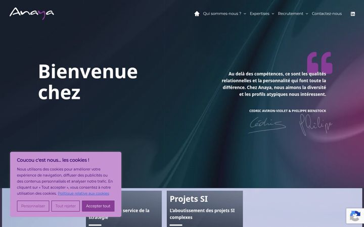 Screenshot of anaya.fr