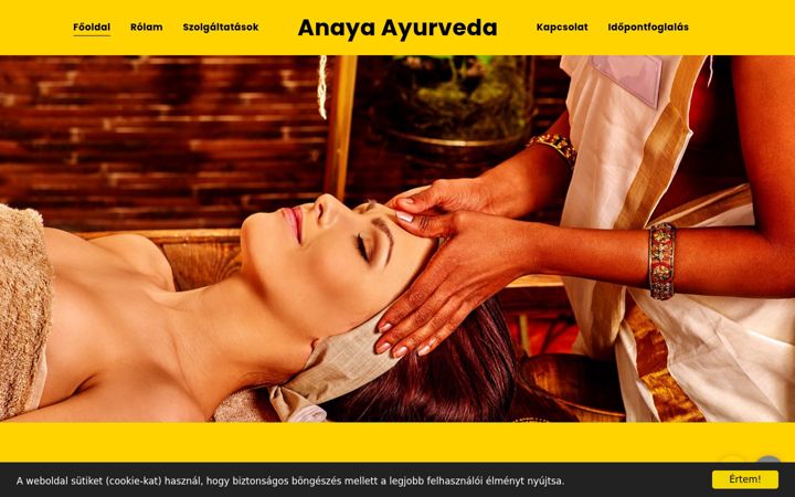 Screenshot of anayaayurveda.com