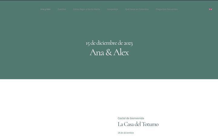 Screenshot of anayalex.co