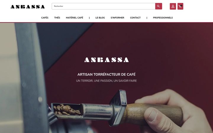 Screenshot of anbassa.fr