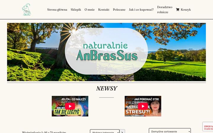 Screenshot of anbrassus.pl