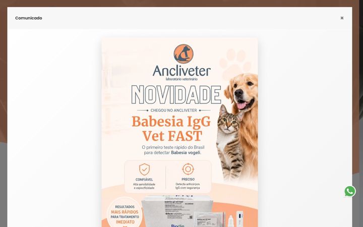 Screenshot of ancliveter.com.br