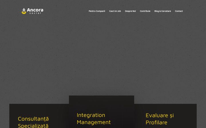 Screenshot of ancorasocial.ro