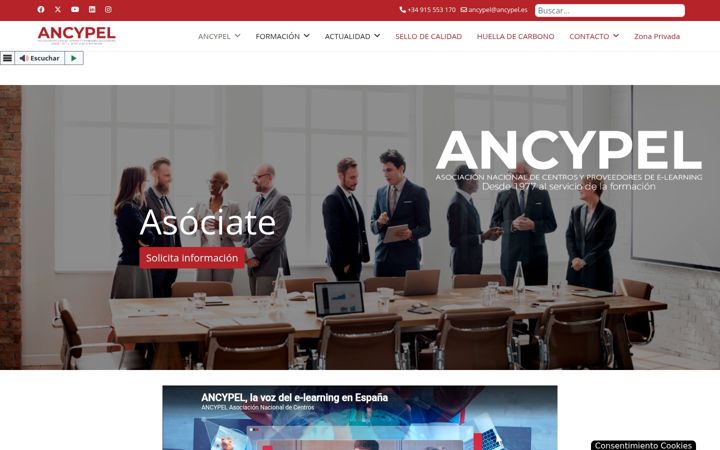 Screenshot of ancypel.es