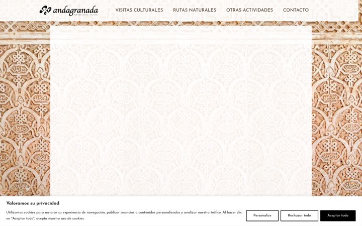 Screenshot of andagranada.com