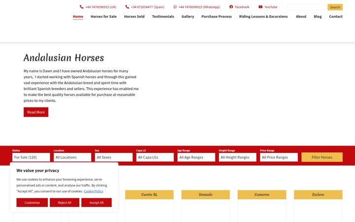 Screenshot of andalusianhorsedirect.com