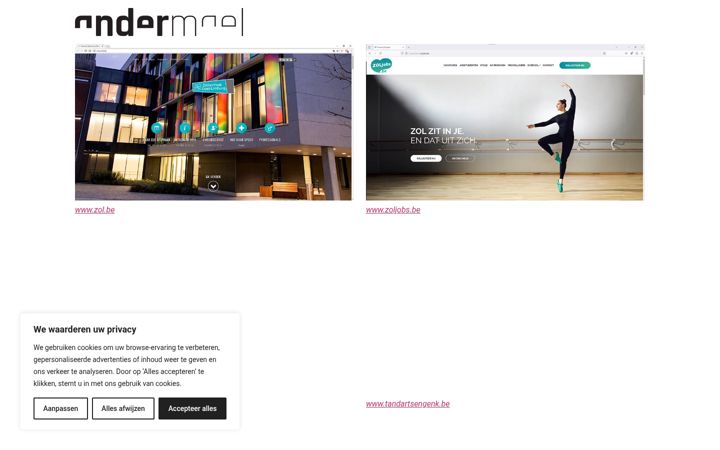 Screenshot of andermael.be