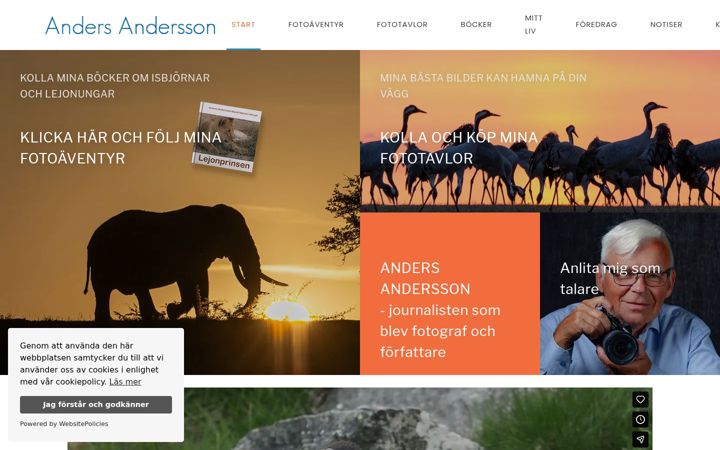 Zrzut ekranu andersandersson.se