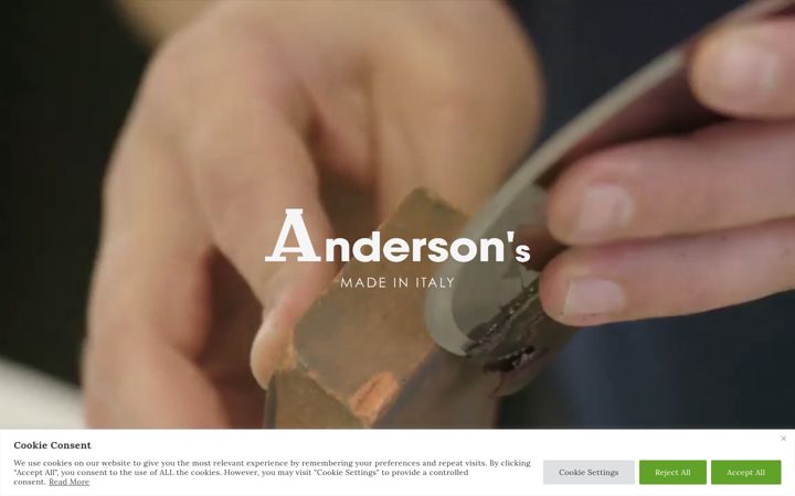 Screenshot of anderson.it
