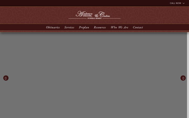 Screenshot of andersondiehm.com