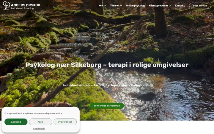 Screenshot of andersorskov.dk