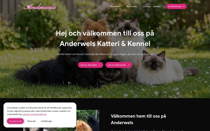 Zrzut ekranu anderwels.se