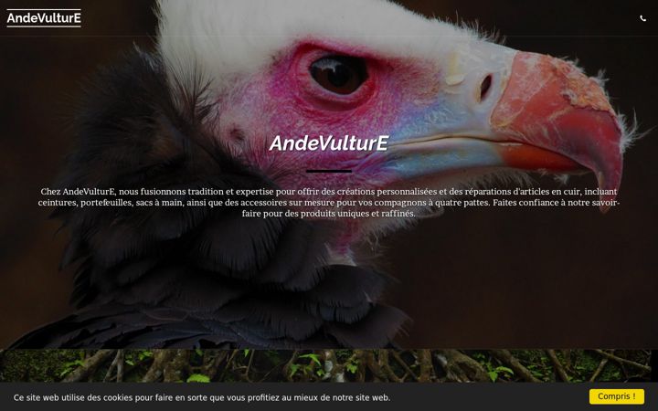 Screenshot of andevulture.com