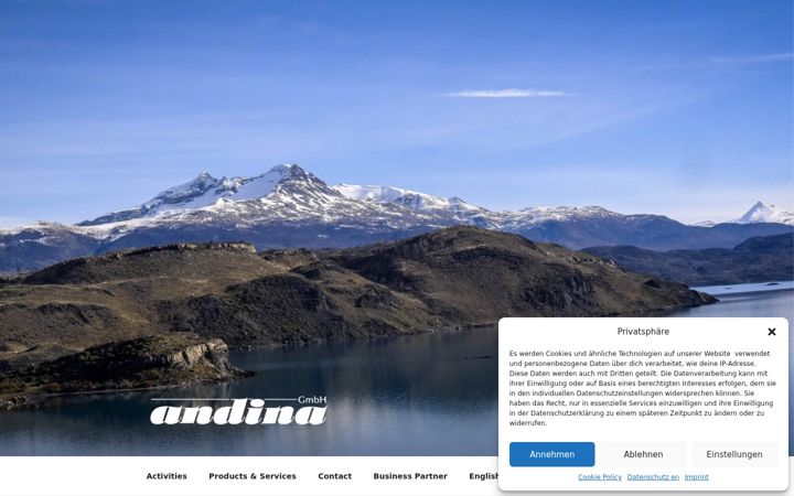 Screenshot of andina-engineering.com