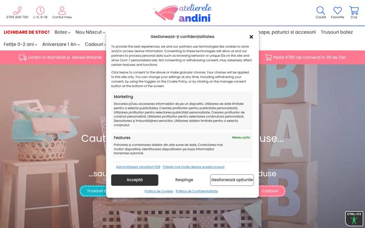 Screenshot of andini.ro