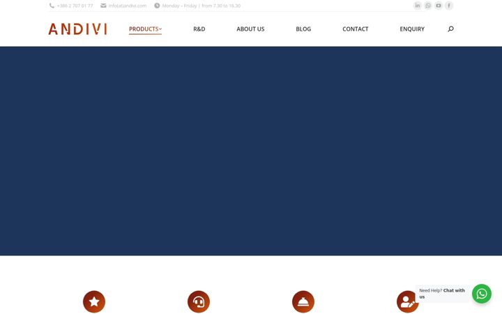Screenshot of andivi.com