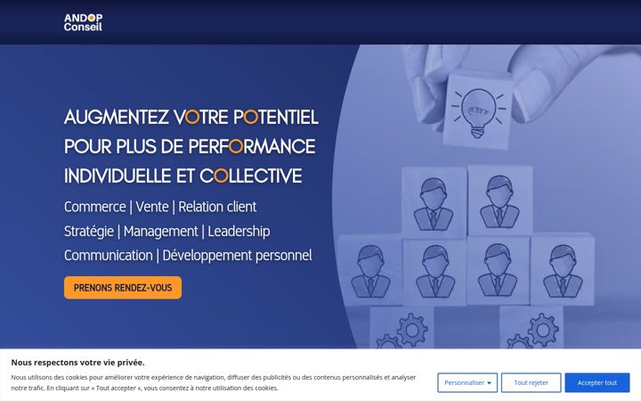 Skärmbild av andop-conseil.fr