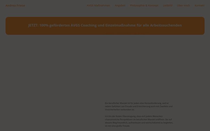 Screenshot of andrea-friese.de