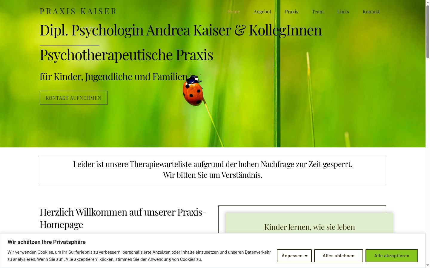 Screenshot of the consent banner shown before any interaction