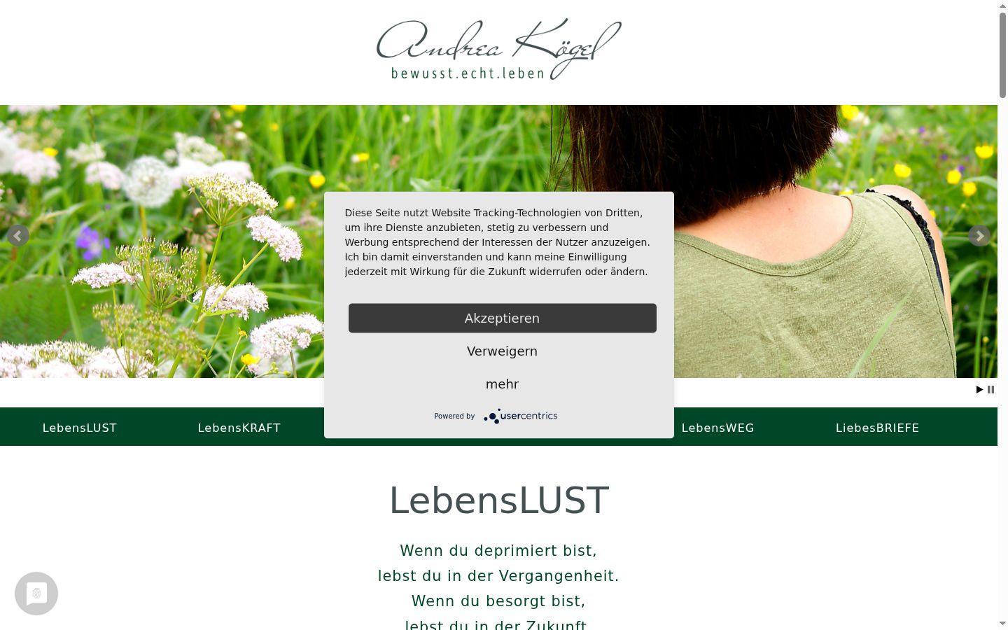 Screenshot van de toestemmingsbanner zoals getoond vóór enige interactie