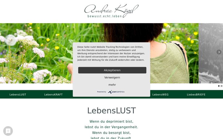 Screenshot of andrea-koegel.com