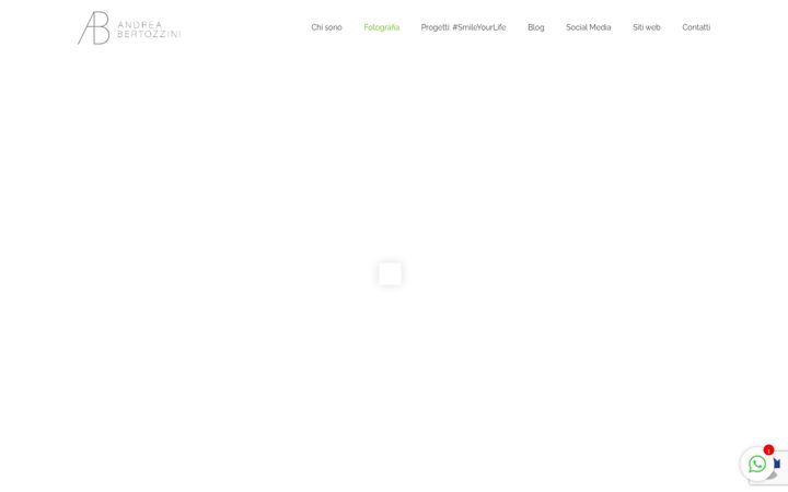 Screenshot of andreabertozzini.com
